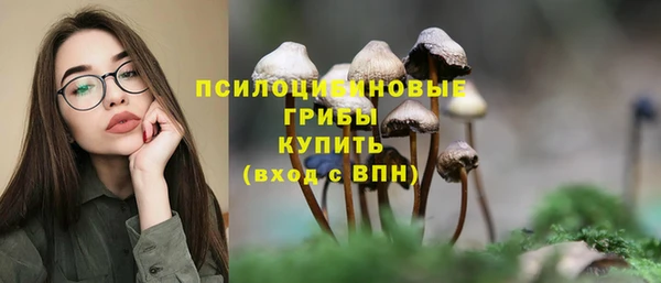бутират Белокуриха