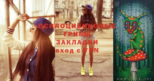 трава Беломорск