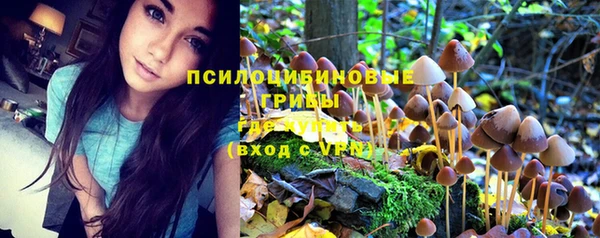 хмурый Белоозёрский