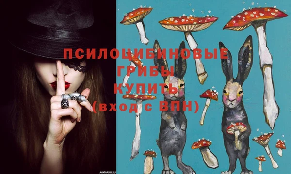 бутират Белокуриха