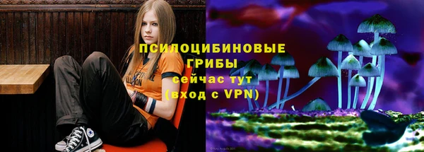 бутират Белокуриха